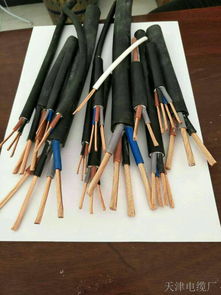 djfpvp22 2 2 1.5計算機電纜 djfpvp22 2 2 1.5計算機電纜